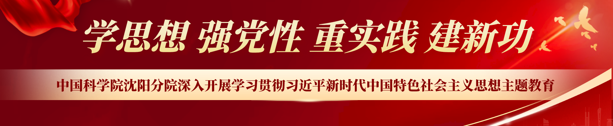 深入開展學習貫徹習近平新時代中國特色社會主義思想主題教育