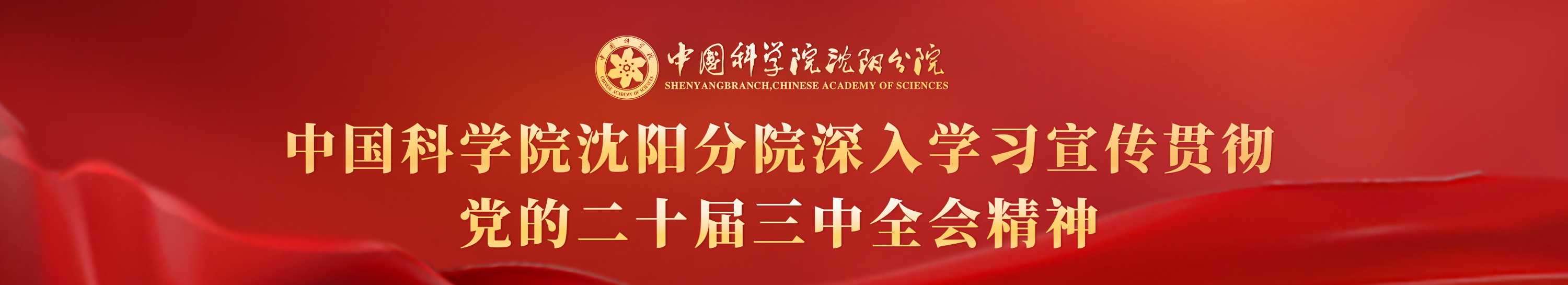深入學習宣傳貫徹黨的二十屆三中全會精神